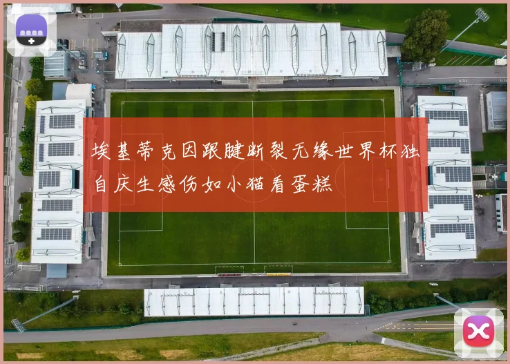 埃基蒂克因跟腱断裂无缘世界杯独自庆生感伤如小猫看蛋糕